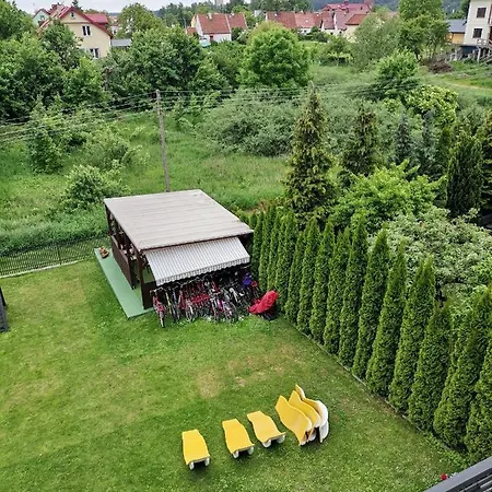 Mrowisko Mikołajki